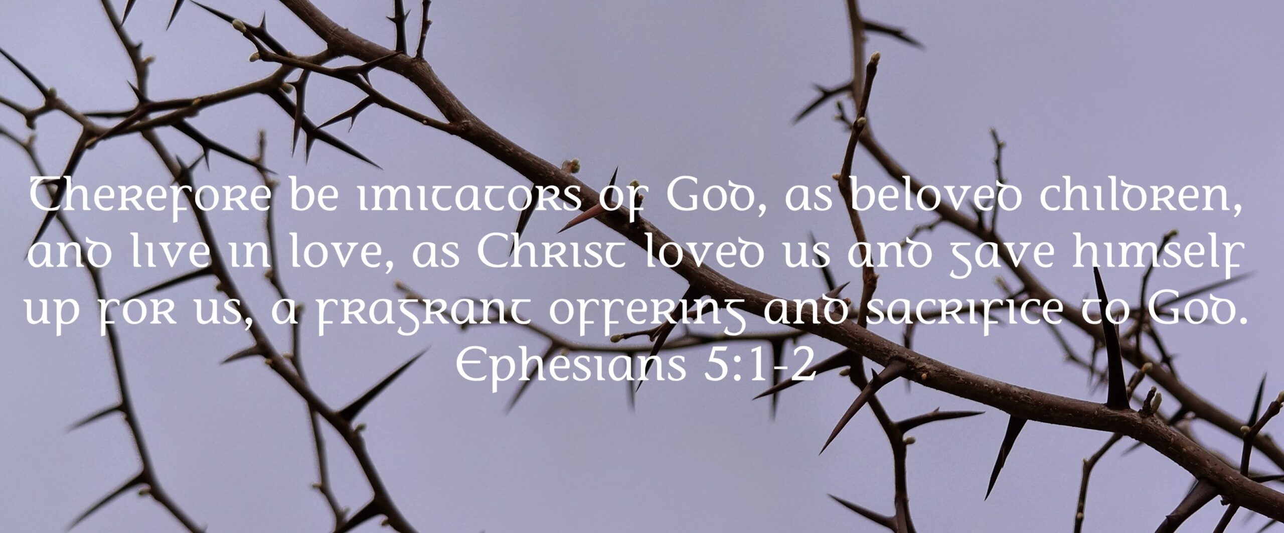 The Briarpatch Congregation